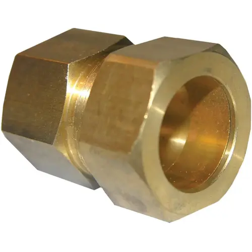 7/8 In. C x 3/4 In. FPT Brass Compression Adapter 7/8 In. C x 3/4 In. FPT Brass Compression Adapter