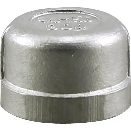 PLUMB-EEZE 3/4 In. FIP Stainless Steel Cap PLUMB-EEZE 3/4 In. FIP Stainless Steel Cap