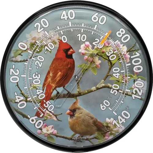 12" Fahrenheit -60 To 140 Outdoor Wall Thermometer