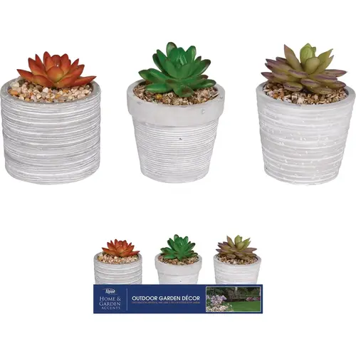 5 In. Resin Decorative Succulent Pot Lawn Ornament - pack of 9 5 In. Resin Decorative Succulent Pot Lawn Ornament - pack of 9