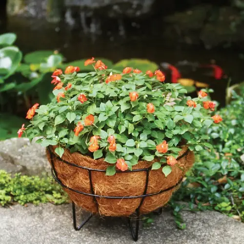 Urban Living Matte Black Powder Coated Steel 14 In. Plant Stand