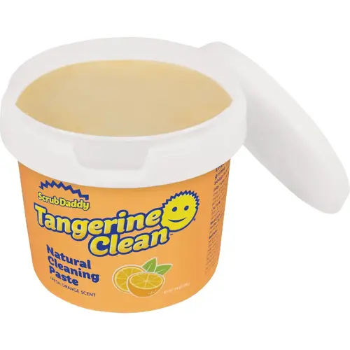 Multi-Surface Cleaner Orange Scent Paste 17.6 oz