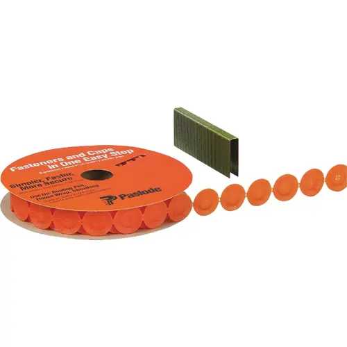 FasCaps 18-Gauge 3/8 in. x 1-1/2 In. Galvanized Staples with Plastic Caps (1440 Ct.) FasCaps 18-Gauge 3/8 in. x 1-1/2 In. Galvanized Staples with Plastic Caps (1440 Ct.)