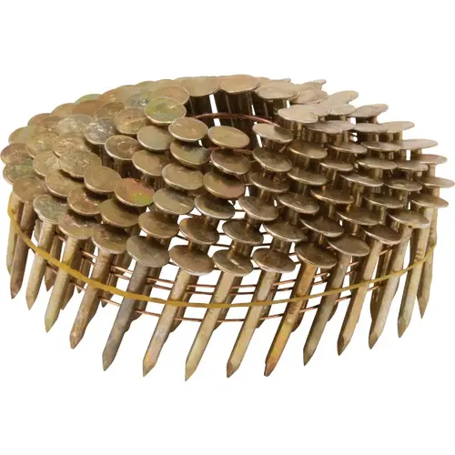 1-1/4 In. x 0.120 In. 15 Degree Wire Weld Electro Galvanized Coil Roofing Nail (600 Ct.)