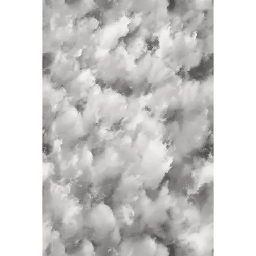 Artscape 24 In. x 36 Clouds Window Film