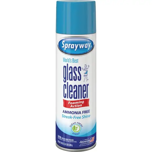 19 Oz. Glass & Surface Cleaner 19 Oz. Glass & Surface Cleaner