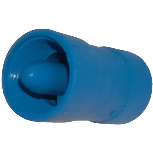 Brady 1 In. Acetal Polymer Spring Loaded Check Valve