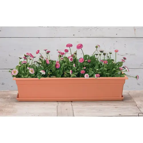 Countryside 30 In. Plastic Terra Flower Box Planter