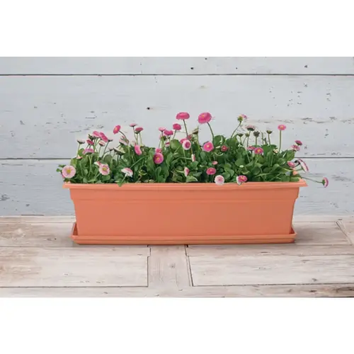 Countryside 24 In. Plastic Terra Flower Box Planter Countryside 24 In. Plastic Terra Flower Box Planter