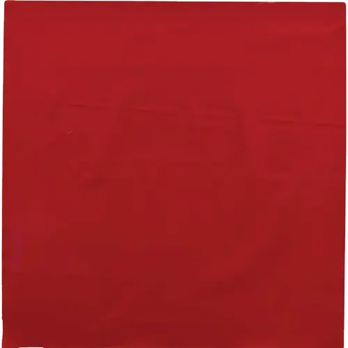 Hy-Ko 12 In. x 12 In. Red Tow Flag