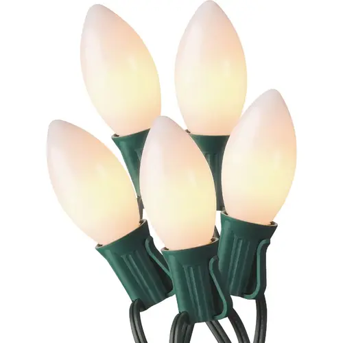 Warm White 20-Bulb 20 Staylit Traditional Glow C9 Ceramic LED Light Set Warm White 20-Bulb 20 Staylit Traditional Glow C9 Ceramic LED Light Set