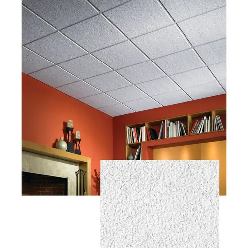 USG 2 Ft. x 2 Ft. Mineral Fiber Suspended Acoustical Ceiling Panels (12-Count) White