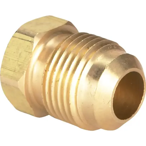 1/2 In. Brass Low Lead Flare Plug 1/2 In. Brass Low Lead Flare Plug