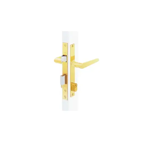 Complete Lockset, Replaces 322, 323, Emtek 322, Pado, Larson and Others, Latch and Throw Bolt, Double Cylinder, PO Polished Brass Complete Lockset, Replaces 322, 323, Emtek 322, Pado, Larson and Others, Latch and Throw Bolt, Double Cylinder, PO Polished Brass