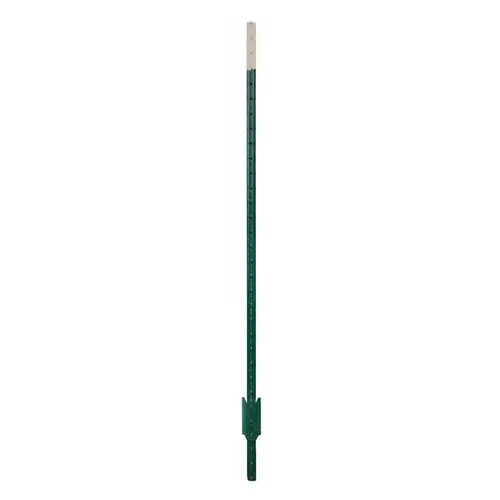 Studded T-Post 6 ft. H X 4" W X 1" L Painted Green Rail Steel / Billet Painted Studded T-Post 6 ft. H X 4" W X 1" L Painted Green Rail Steel / Billet Painted