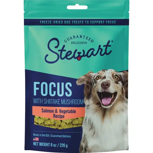 Focus 4 Oz. Freeze-Fried Salmon Dog Treat