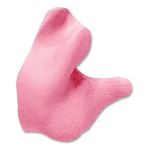 Custom Molded Earplugs, NRR 26 dB, Silicone, Pink Custom Molded Earplugs, NRR 26 dB, Silicone, Pink