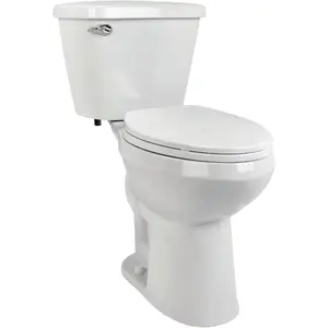 Briggs 7089 130 AltimaMAX White 19-1/8 In. Extra Tall Elongated 1.28 GPF Toilet Express