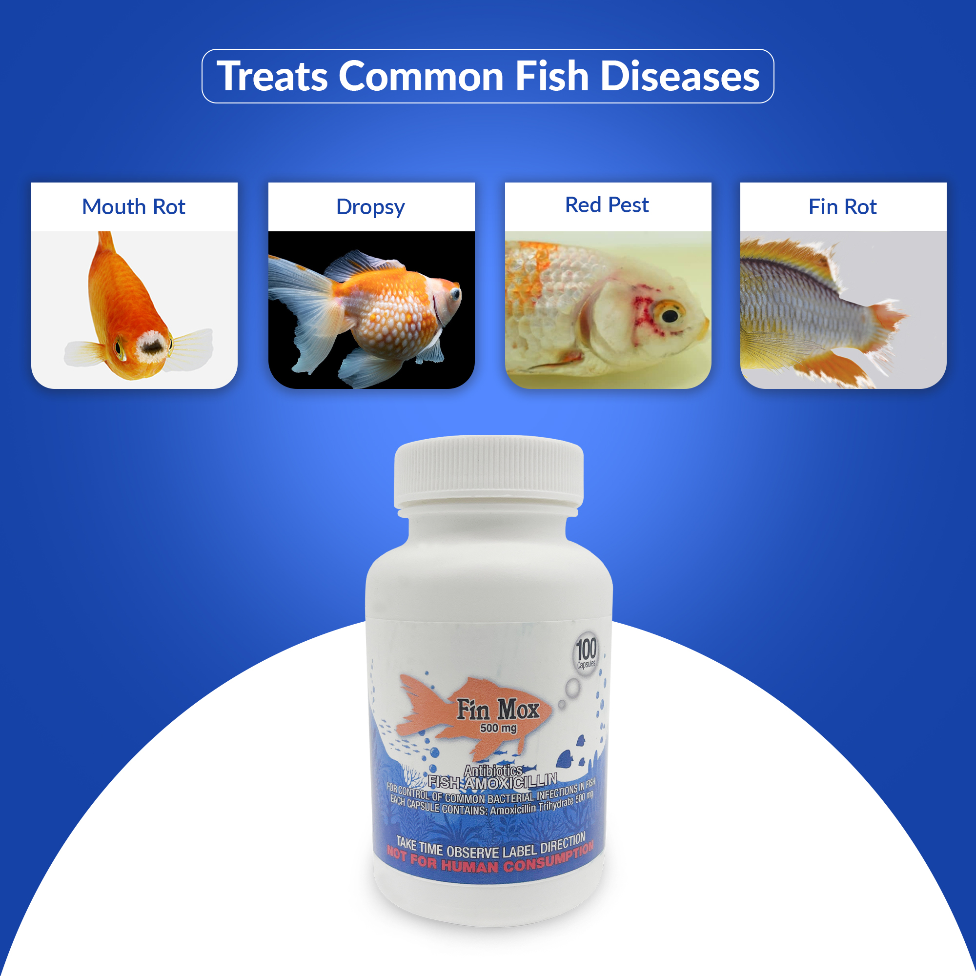 Fish Antibiotics 08644411 Fish Mox 500mg - 100 count Buy Now