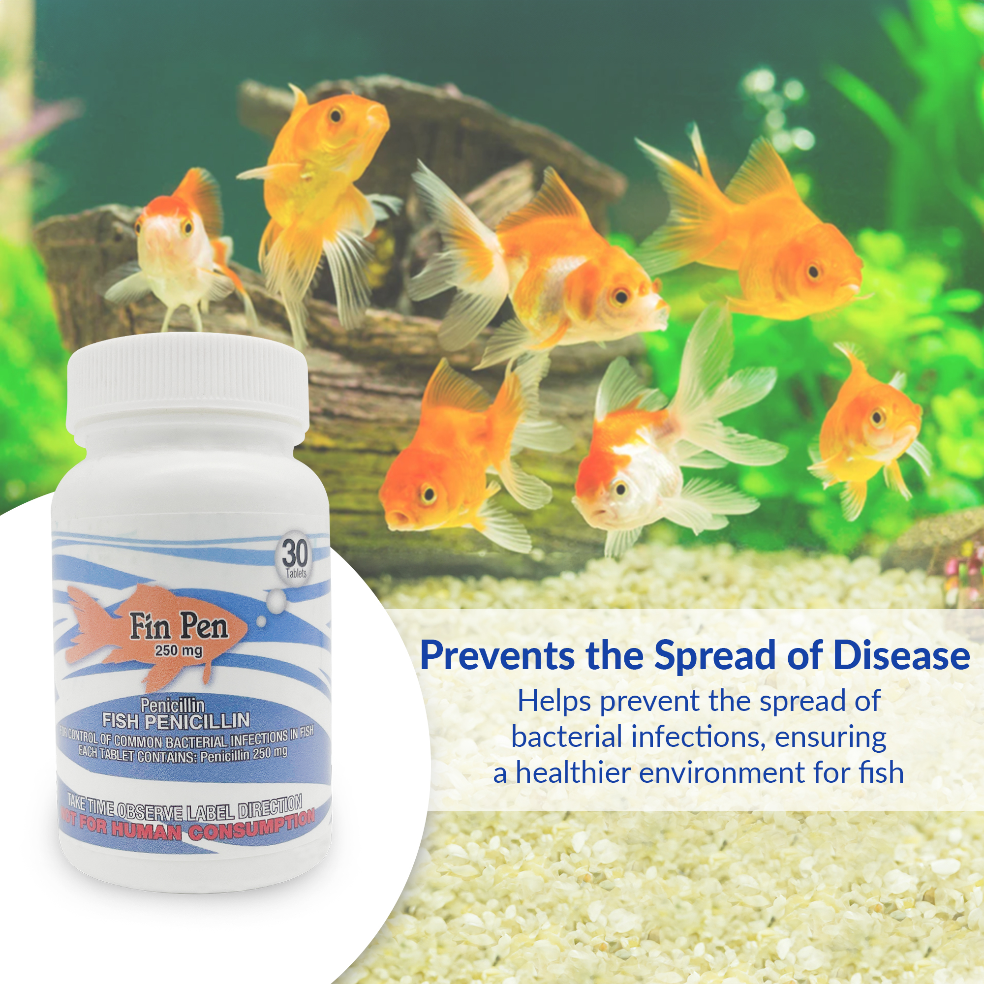 Fish Antibiotics 08644328 Fish Pen 250mg 30-Tablets Buy Now