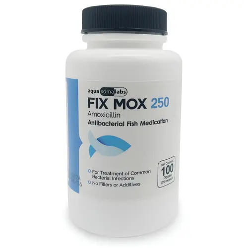 Fish Mox 250mg 100-Capsules
