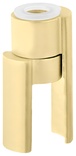 Polished Brass