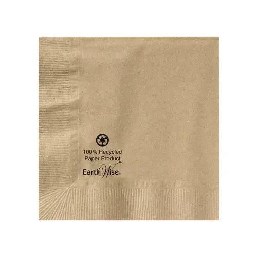 Hoffmaster Earth Wise 10 Inch X 10 Inch 2 Ply 100% Recycled Kraft Beverage Napkin, 250 Each
