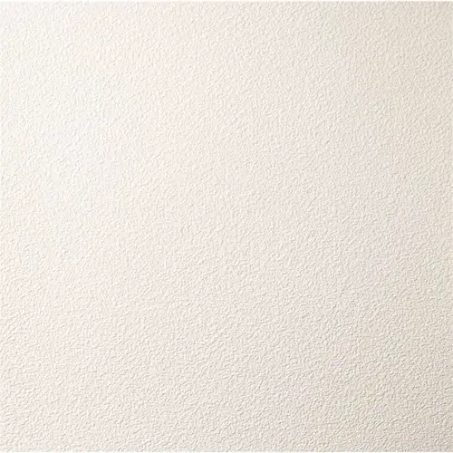 Genesis 2ft X 2ft Stucco PRO Flat White Lay In Ceiling Tile, Case Of 12 Genesis 2ft X 2ft Stucco PRO Flat White Lay In Ceiling Tile, Case Of 12