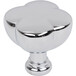 Polished Chrome