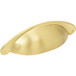 Brushed Gold
