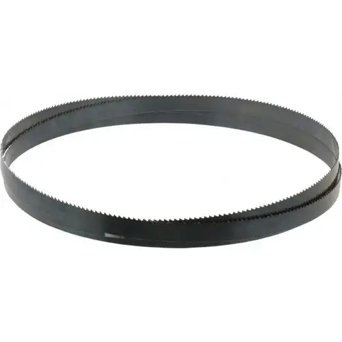 Welded Bandsaw Blade: 10 ft Long, 0.032" Thick, 6 TPI Welded Bandsaw Blade: 10 ft Long, 0.032" Thick, 6 TPI