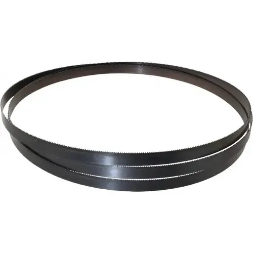 Welded Bandsaw Blade: 11 ft 5" Long, 0.032" Thick, 10 TPI Welded Bandsaw Blade: 11 ft 5" Long, 0.032" Thick, 10 TPI