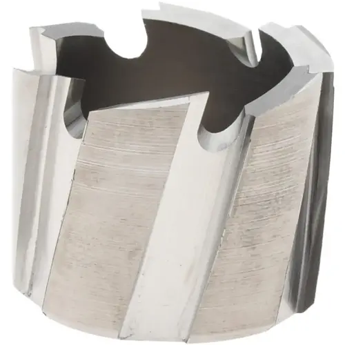Annular Cutter: 3/4" Dia, 1/4" Depth of Cut, High Speed Steel Bright/Uncoated Annular Cutter: 3/4" Dia, 1/4" Depth of Cut, High Speed Steel Bright/Uncoated