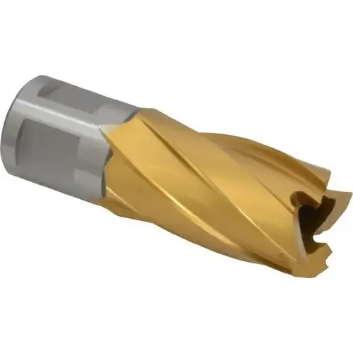 Annular Cutter: 13/16" Dia, 1" Depth of Cut, High Speed Steel TiN Annular Cutter: 13/16" Dia, 1" Depth of Cut, High Speed Steel TiN