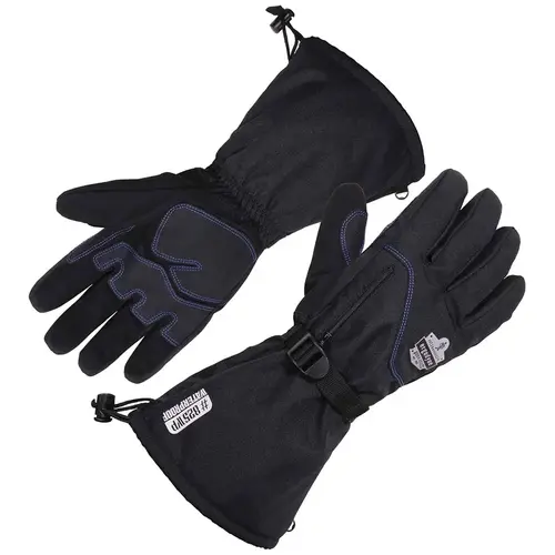 General Purpose Work Gloves: Large, 3M Thinsulate