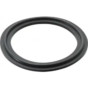 VNE EG40V2.0 Sanitary Tube Gasket: Viton, 2" OD