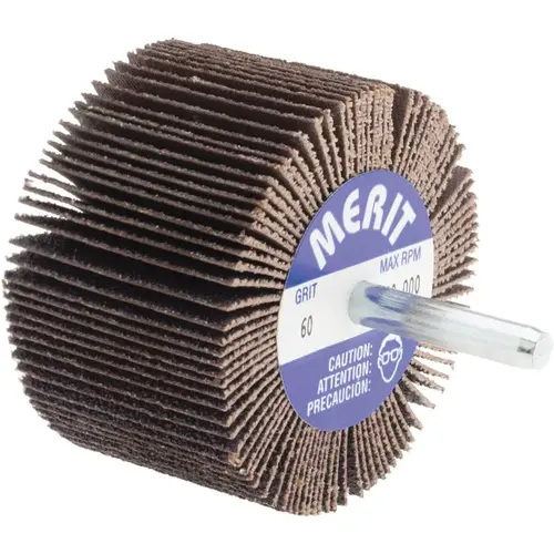 Mounted Flap Wheel: 2-1/2" Dia, 1-1/2" Face Width, 60 Grit, Ceramic Alumina Mounted Flap Wheel: 2-1/2" Dia, 1-1/2" Face Width, 60 Grit, Ceramic Alumina