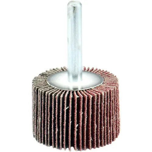 Mounted Flap Wheels; Mount Type: Shank ; Outside Diameter (Decimal Inch): 3/4 ; Face Width (Inch): 3/4 ; Abrasive Type: Coated ; Abrasive Material: Aluminum Oxide ; Grade: Coarse Mounted Flap Wheels; Mount Type: Shank ; Outside Diameter (Decimal Inch): 3/4 ; Face Width (Inch): 3/4 ; Abrasive Type: Coated ; Abrasive Material: Aluminum Oxide ; Grade: Coarse