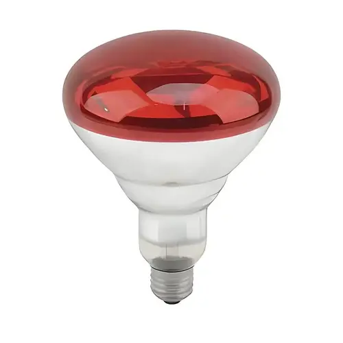 HEAT LAMP INCAN BR40 RED 250W