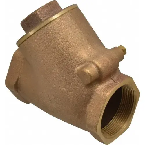 Check Valve: 2" Pipe Check Valve: 2" Pipe