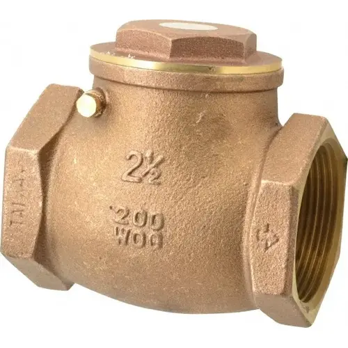 Check Valve: 2-1/2" Pipe Check Valve: 2-1/2" Pipe