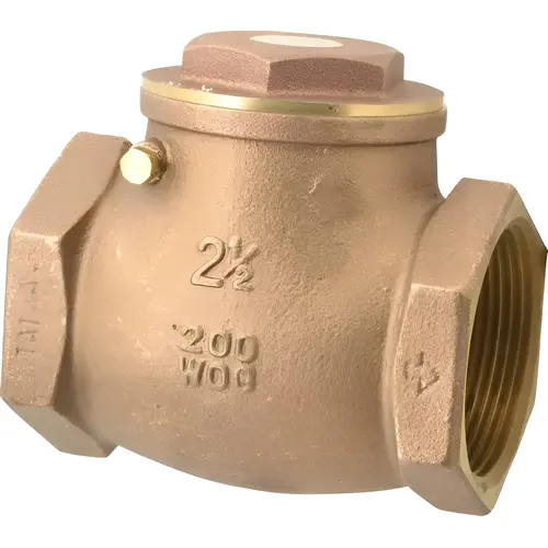 Check Valve: 2-1/2" Pipe Check Valve: 2-1/2" Pipe
