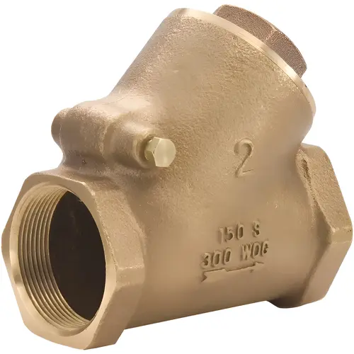 Check Valve: 2" Pipe Check Valve: 2" Pipe