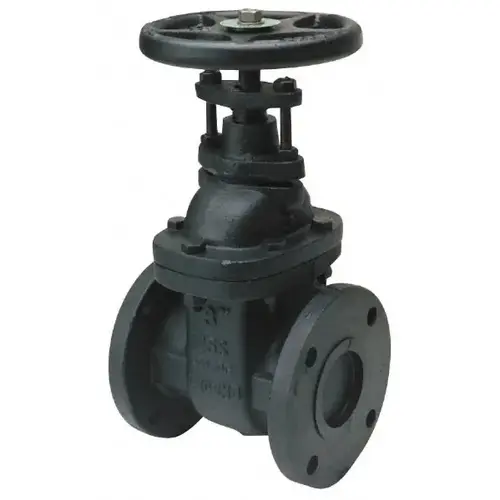 Gate Valve: OS & Y, 2" Pipe, Flanged, Cast Iron