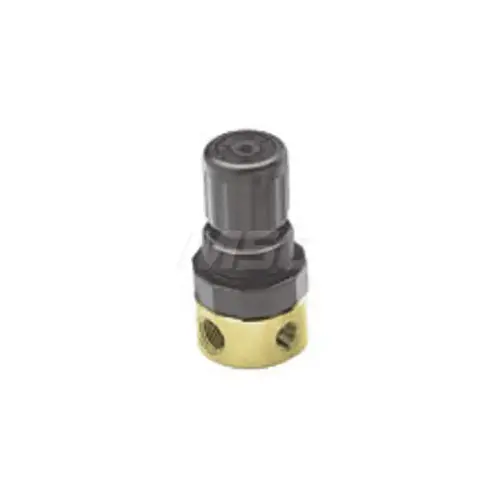 Compressed Air Regulator: 1/4" NPT Compressed Air Regulator: 1/4" NPT