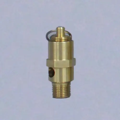 ASME Safety Relief Valve: 1/8" Inlet, 100 Max psi ASME Safety Relief Valve: 1/8" Inlet, 100 Max psi
