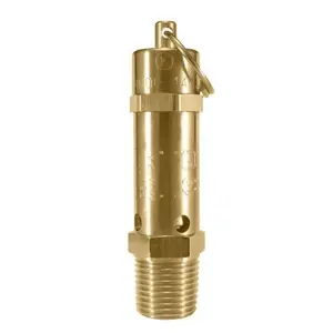 Kingston 112CSS-3-100 ASME Safety Relief Valve: 3/8" Inlet, 100 Max psi