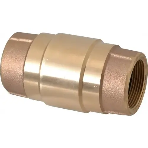 Check Valve: 1-1/2" Pipe Check Valve: 1-1/2" Pipe
