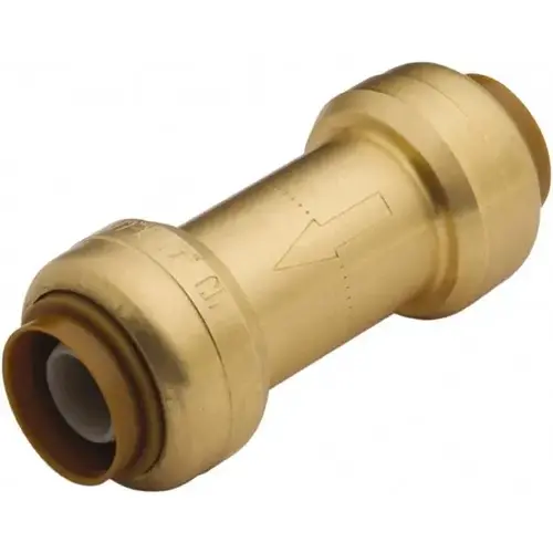 Check Valve: 1" Pipe Check Valve: 1" Pipe