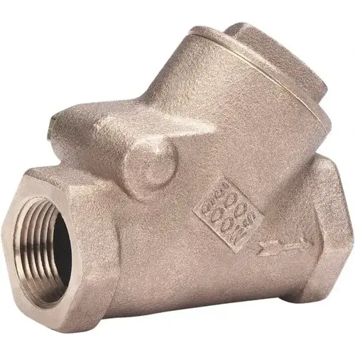 Check Valve: 1" Pipe Check Valve: 1" Pipe
